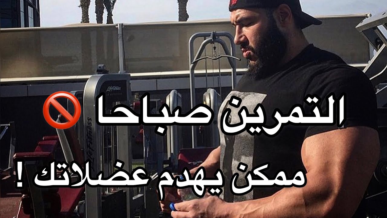 هل التمرين صباحا مفيد ؟ ( أفضل وجبة قبل التمرين )