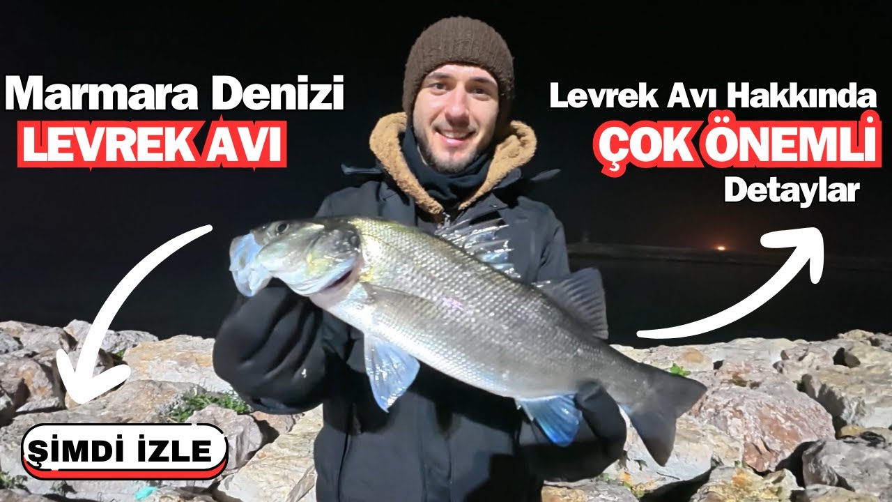 MARMARA DENİZİ LEVREK AVI / BALIK AVI HAKKINDA ÖNEMLİ BİLGİLER