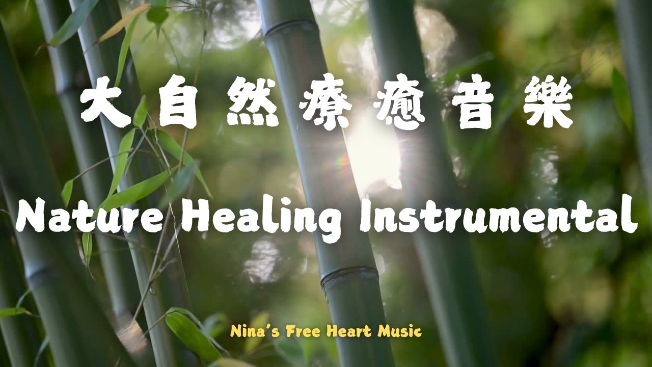 [2h] Forest Breath Calm — Bamboo Flute Ambient Music《森息靜心｜竹笛自然療癒空間音樂》深度放鬆 冥想音樂 中國古典音樂 養生場所 茶藝 蔬食素食餐廳