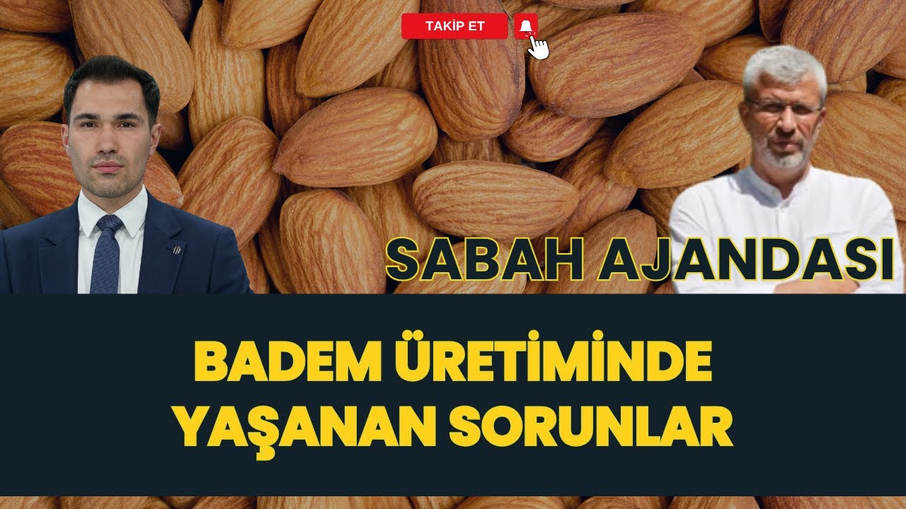 SABAH AJANDASI I BADEM ÜRETİMİNDE YAŞANAN SORUNLAR I MEHMET SENA YILDIRIM - BADEM ÜRETİCİLER BİRLİĞİ