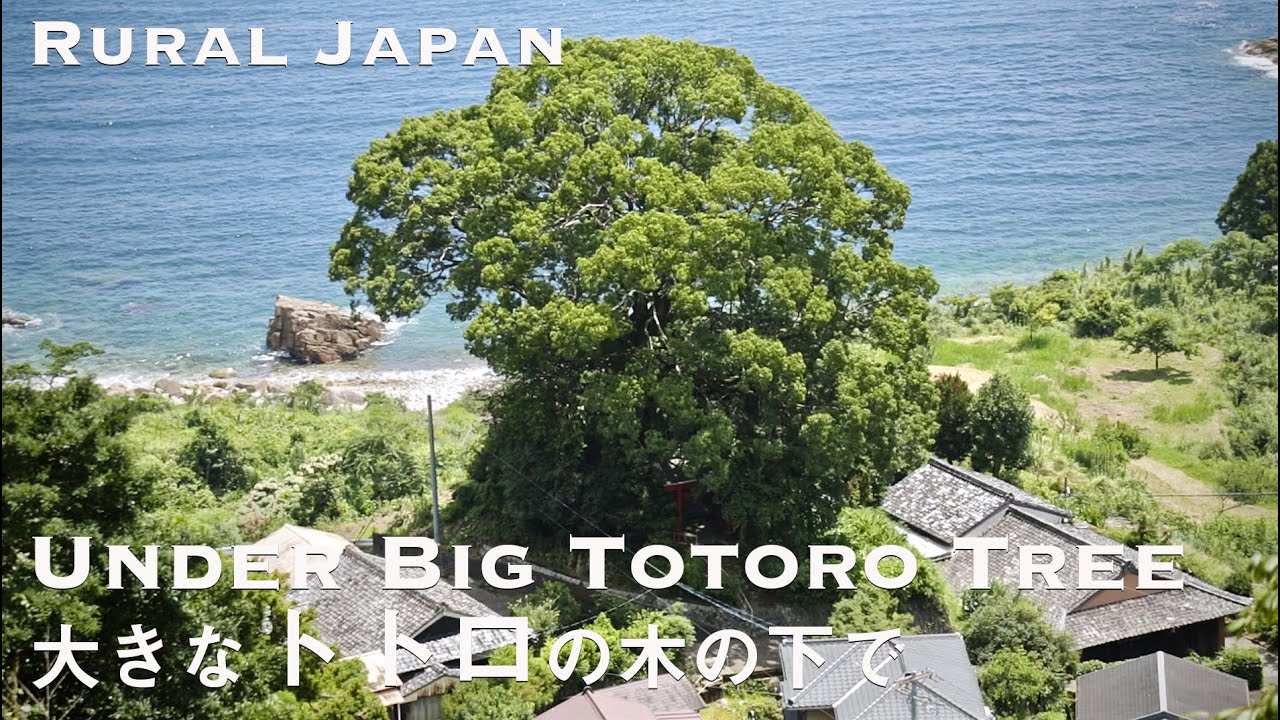 【移住を決めた風景 - 凪のあすから聖地巡礼】熊野に移住するキッカケになったジブリみたいな大きなクスノキのある風景｜波田須駅｜田舎暮らし｜熊野｜地方移住｜新鹿｜天女座