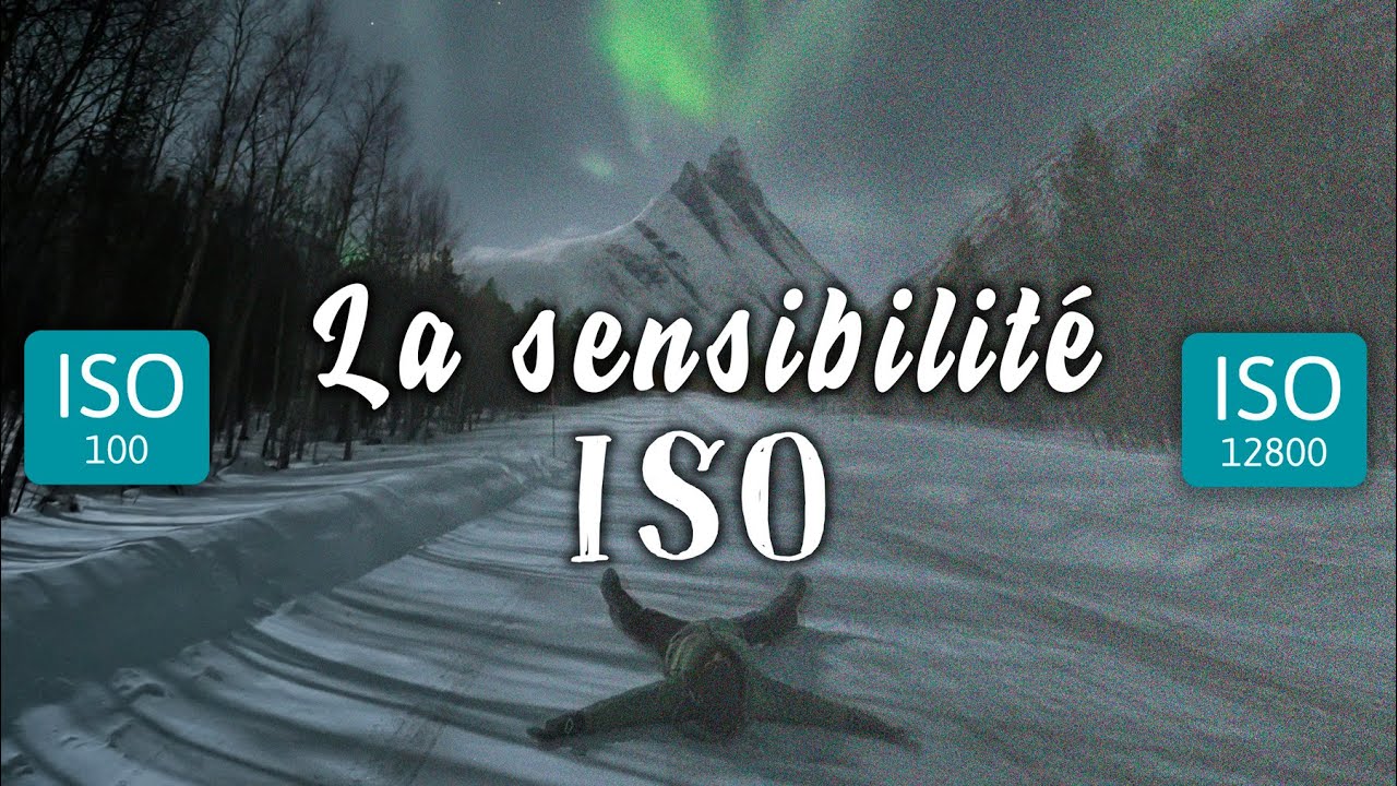 La sensibilité ISO | luminosité, bruit et grain