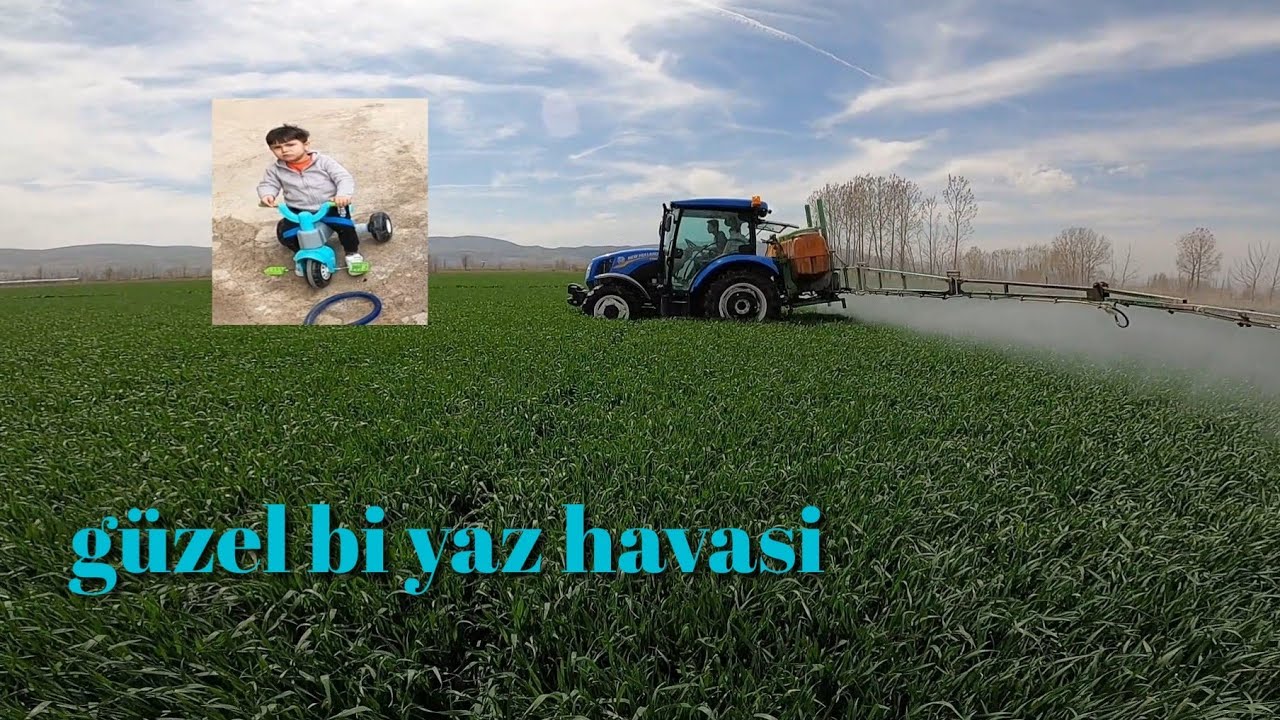 OZİ İLE BUĞDAY İLAÇLIYORUZ //BUĞDAYLAR DİZ BOYUNA GELDİ //ATOM KARINCA 600L AZ GELİYO