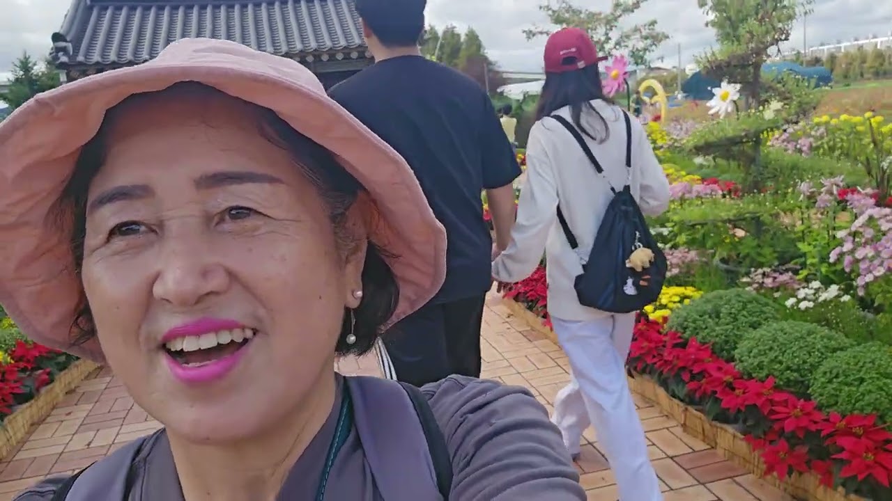 #인천#계양 #아라온 #국화축제🌼🌻🪻