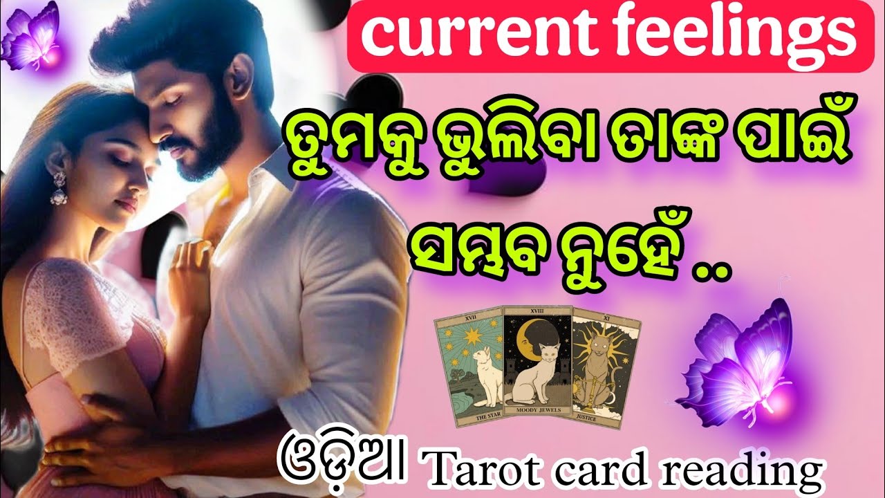 ❤️‍🩹ଭୁଲି ପାରିବିନି ତୁମକୁ 😭💔 Current feelings tarot card reading ❤️‍🩹 odia tarot card reading