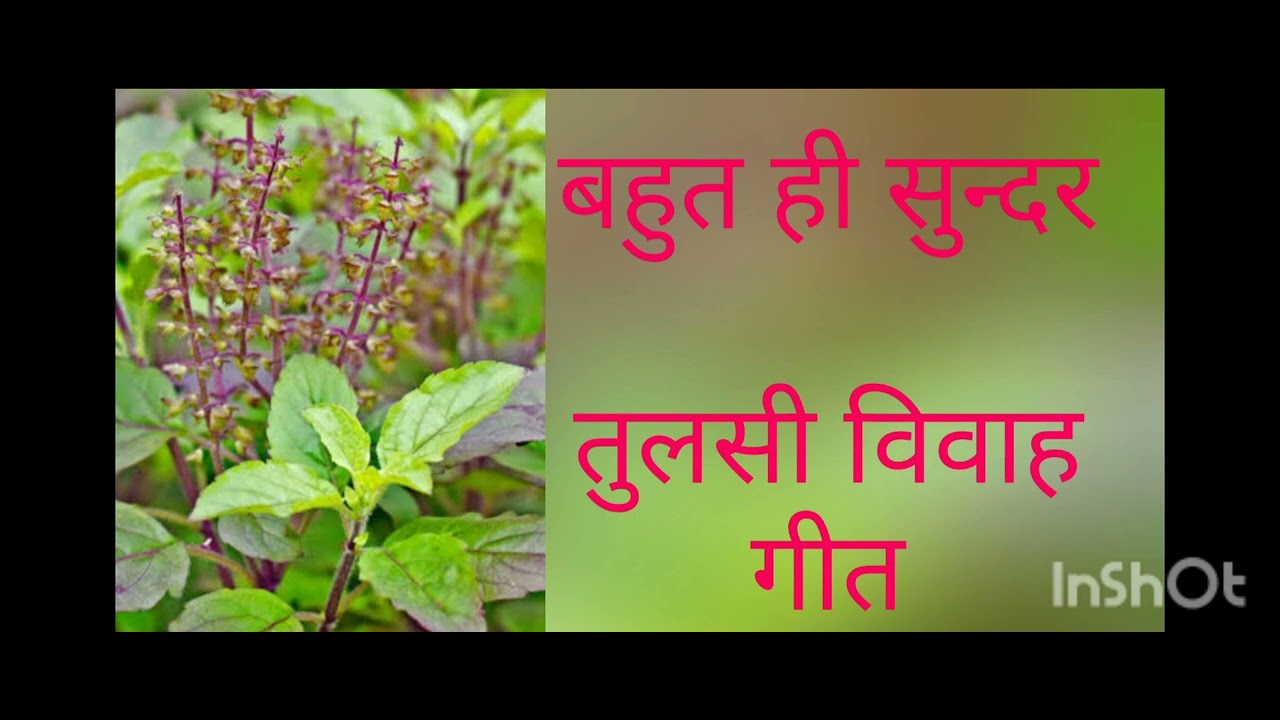 कहवा से आवे बारियातिया त कहवा मे उतारेला हो सखी काथी चढ़ी आइले नारायण..