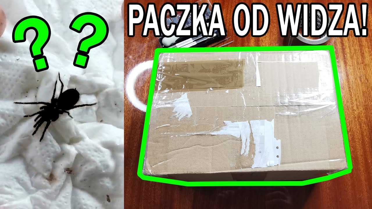 Unboxing PACZKI NIESPODZIANKI #4 od WIDZA!  Znowu dostałem od Was pająki