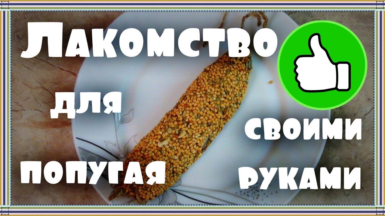 Готовим лакомство с бананом для попугая. Банановая палочка. Лакомство для попугая своими руками.