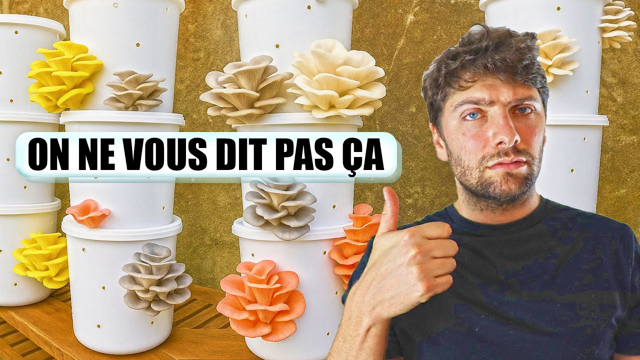 🍄 MYCICULTURE : 5 VÉRITÉS que TOUS les DÉBUTANTS découvrent trop tard