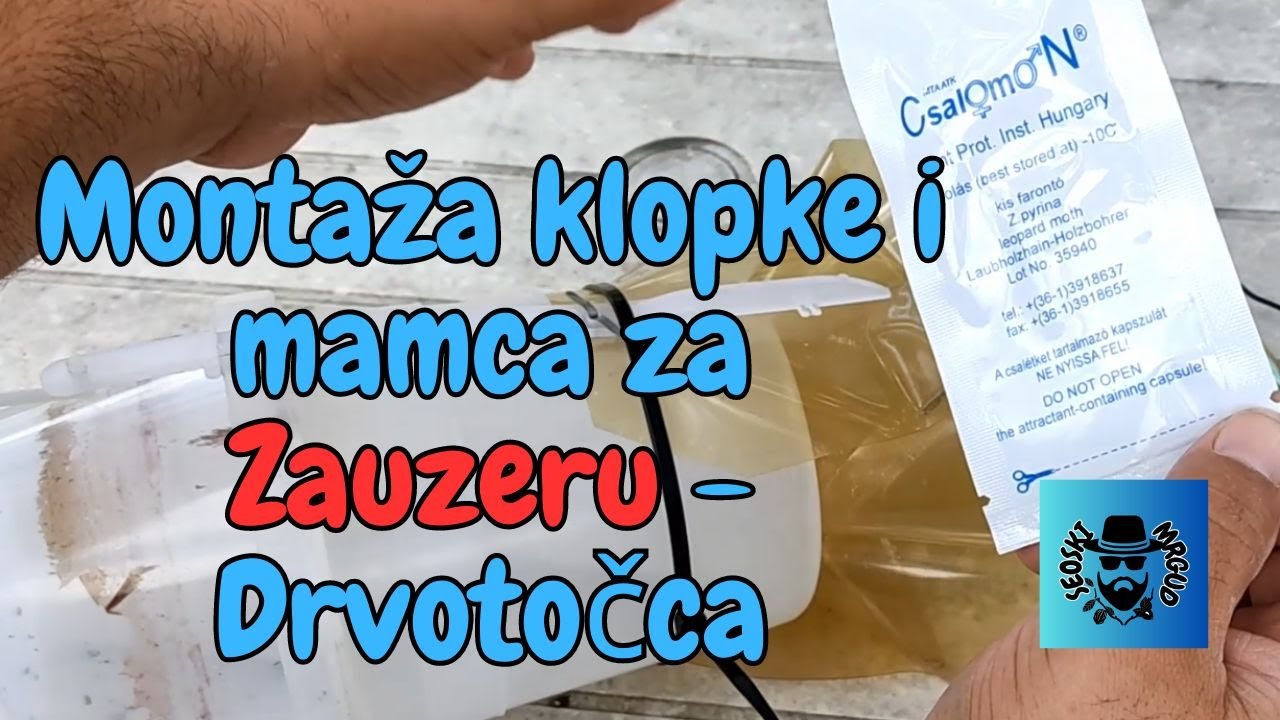 Montaža klopke i mamca za Zeuzera pyrina - Beli Drvotočca | Zasad oraha