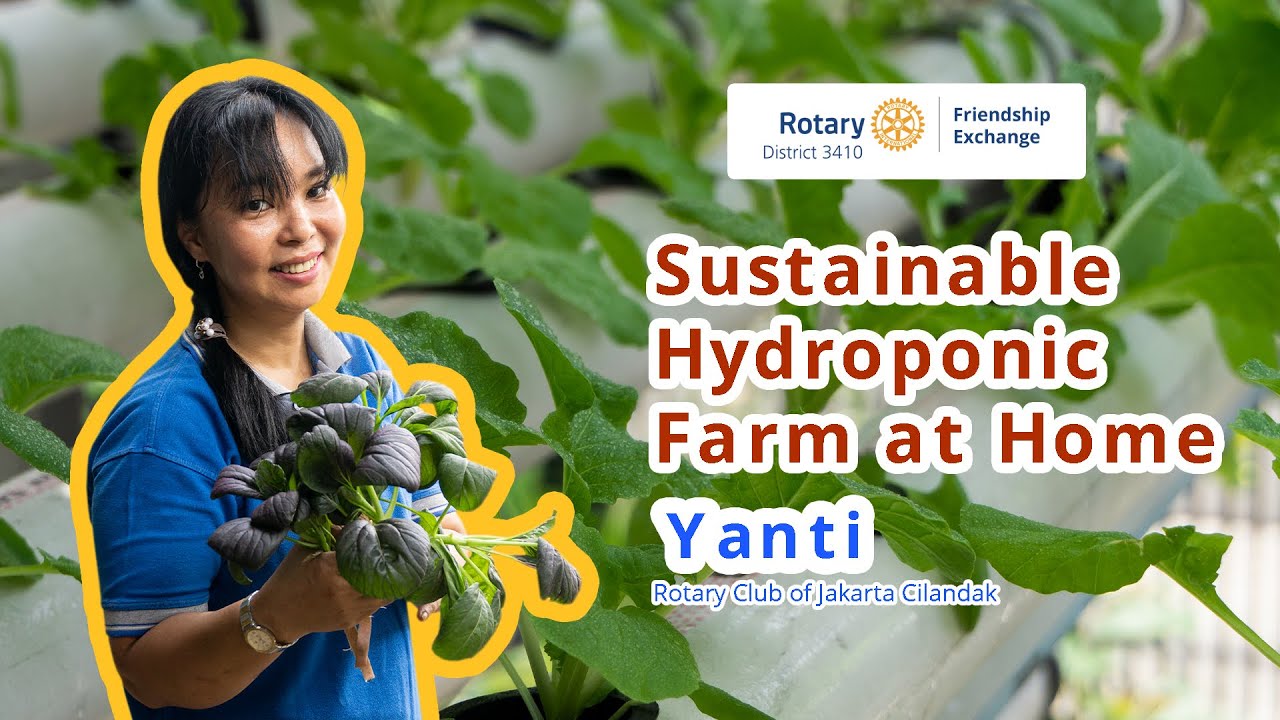Sustainable Hydroponic Farm at Home | Yanti Rotary Club of Jakarta Cilandak