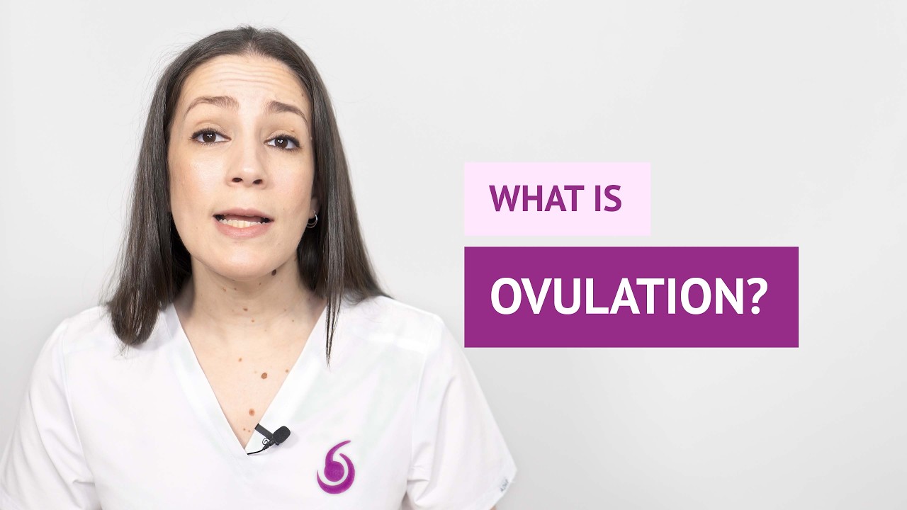 What is ovulation?
