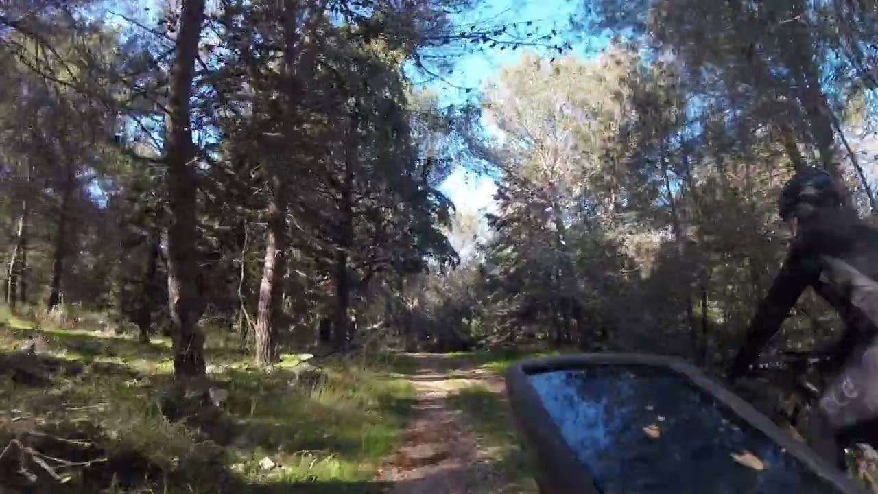 MTB BOSCO DI BITONTO CON VALENTINO