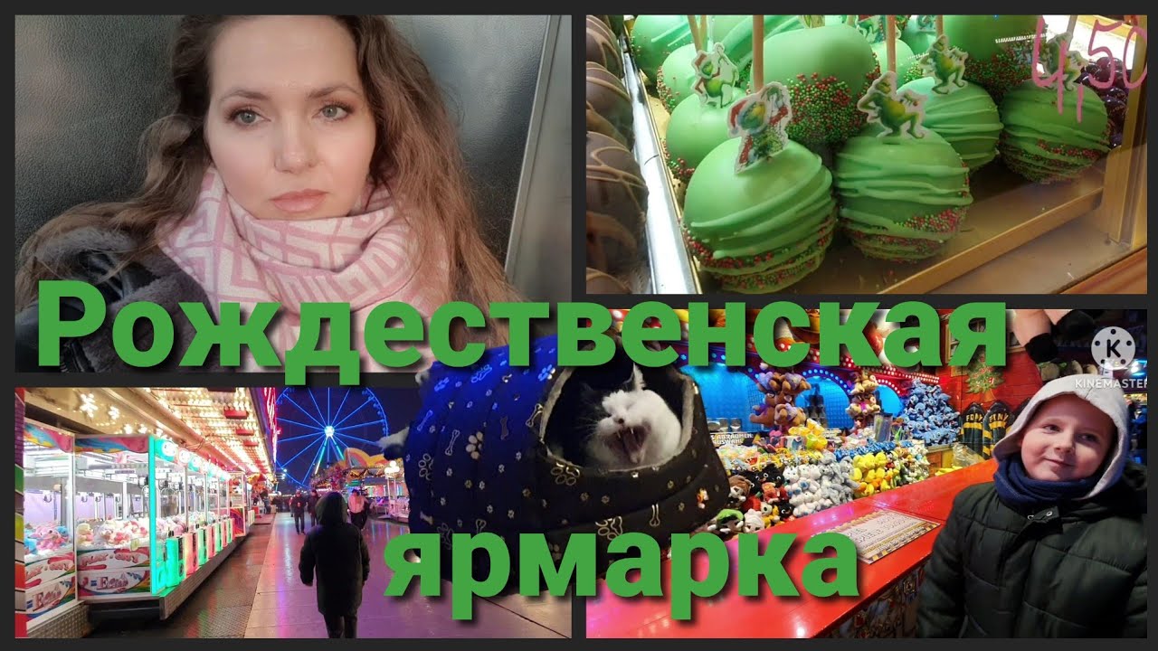 Я в шоке, вот это цены ! Рождественская ярмарка• Польский базар и наши покупки• Кот рад ! 12/25