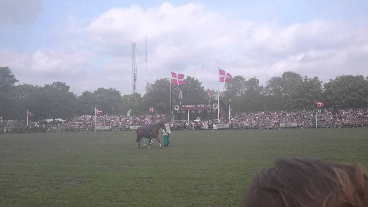 Roskilde Dyrskue 2015 Frederiksborg hesten