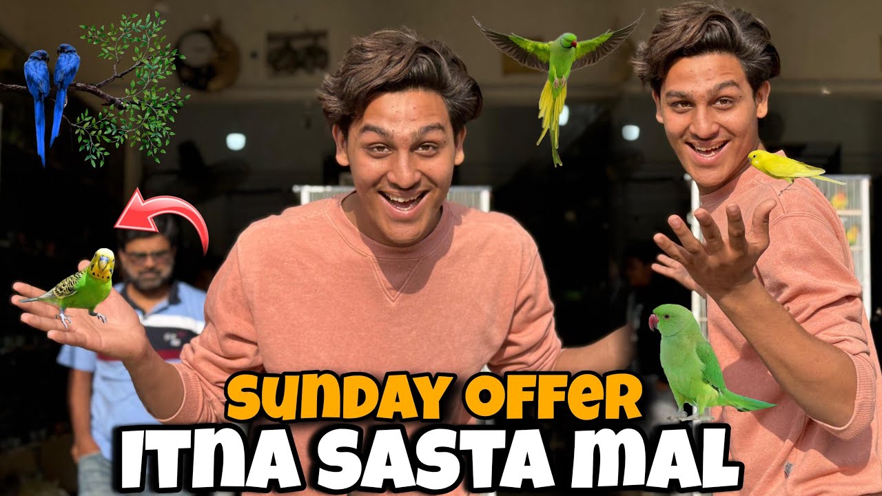 Sunday offer 🙂🤗 itna sasta Mal 😱😱 