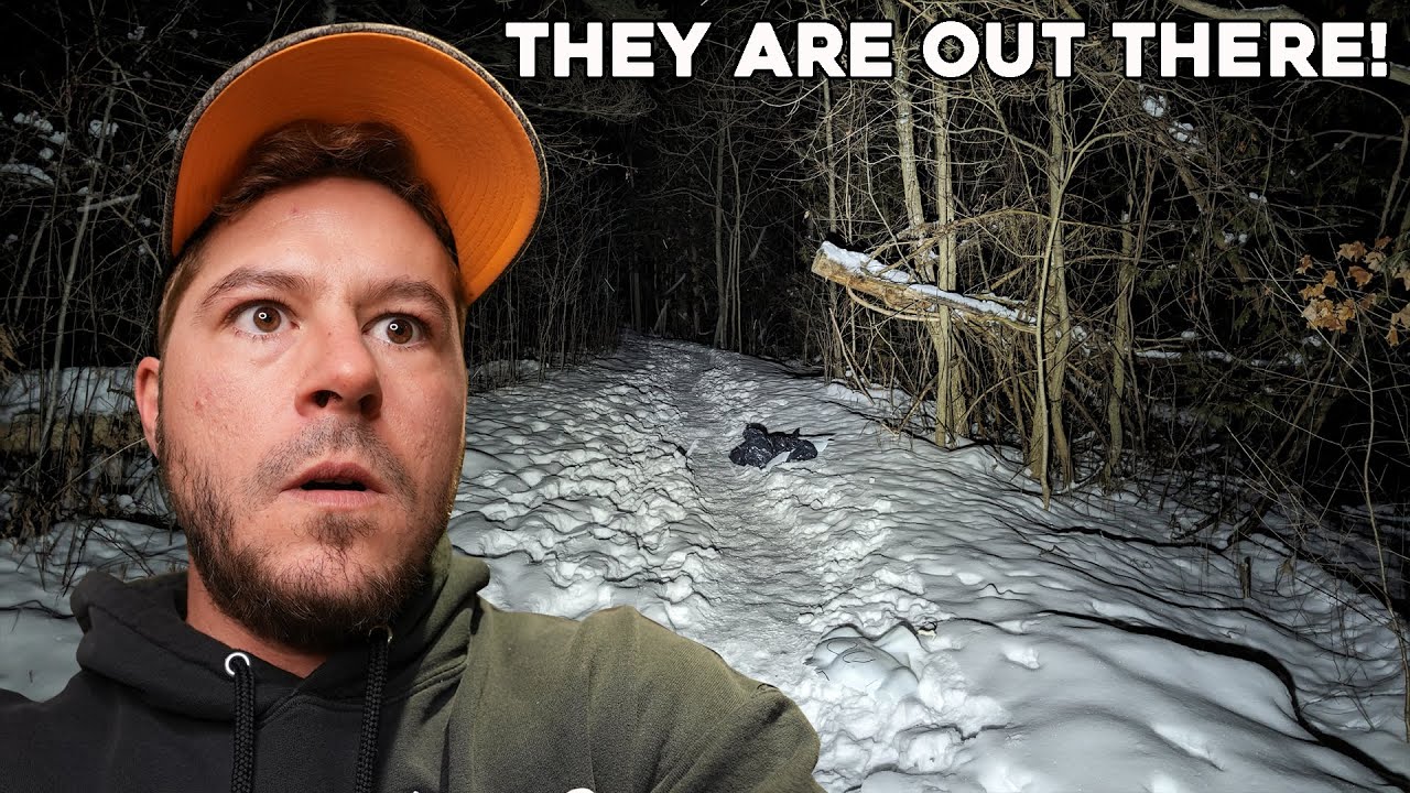 THEY WERE HIDING FROM ME WHILE USING RANDONAUTICA | I WAS NOT ALONE