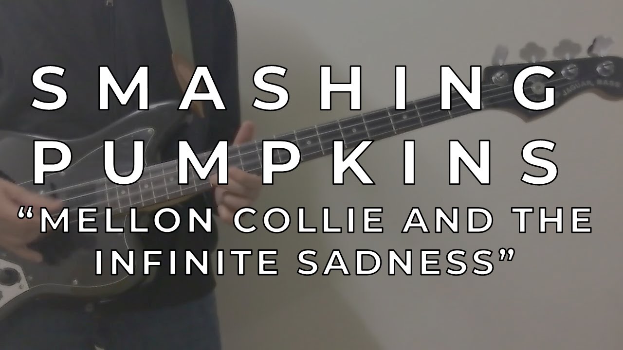 Smashing Pumpkins - Mellon Collie And The Infinite Sadness (bass cover)