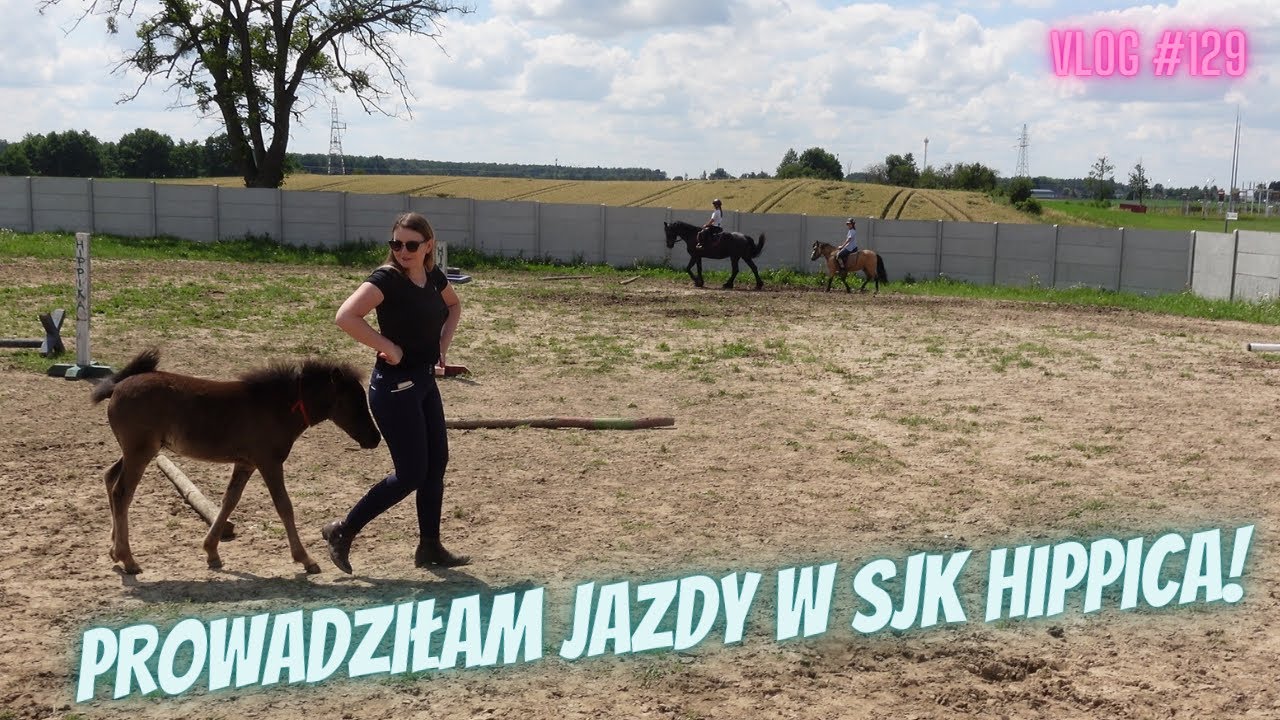 VLOG #129 |  PROWADZIŁAM JAZDY W SJK HIPPICA!