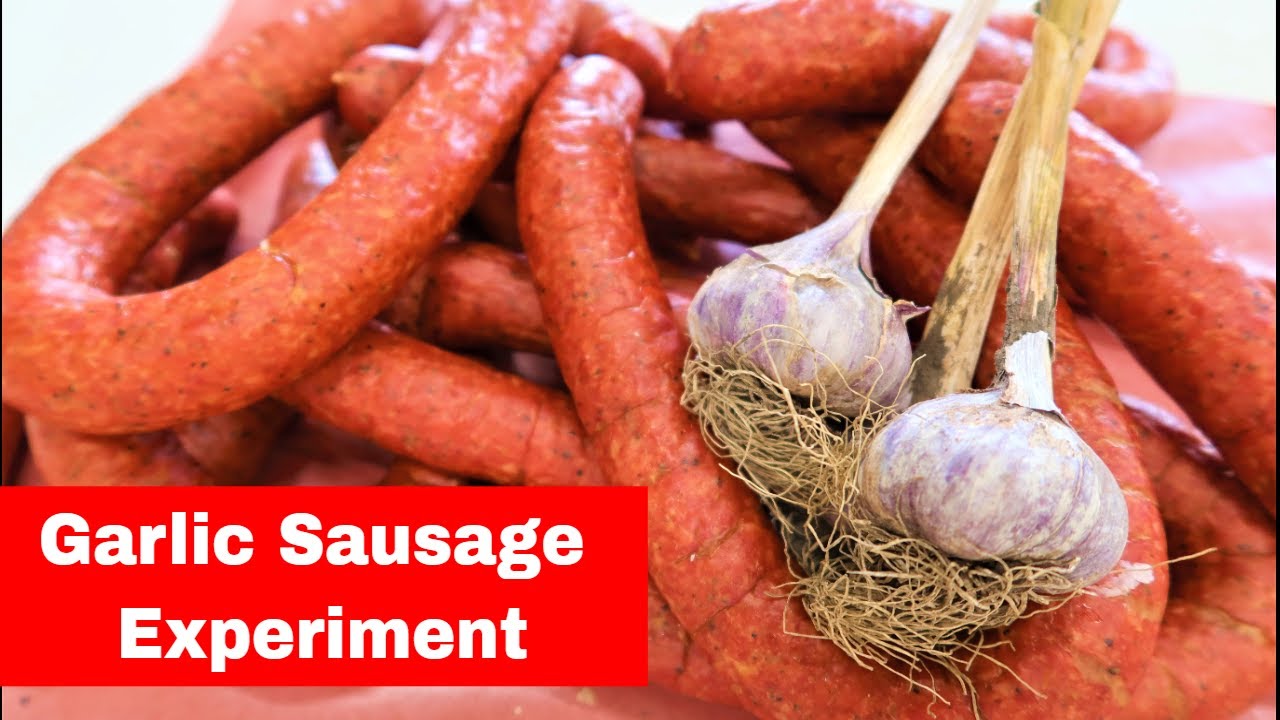 Granulated VS Store Bought Vs Fresh Garlic Sausage. Garlic Sausage Experiment.