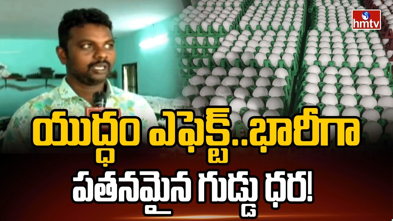 యుద్ధం ఎఫెక్ట్..భారీగా పతనమైన గుడ్డు ధర! | War Effect on Egg Price | kakinada | hmtv