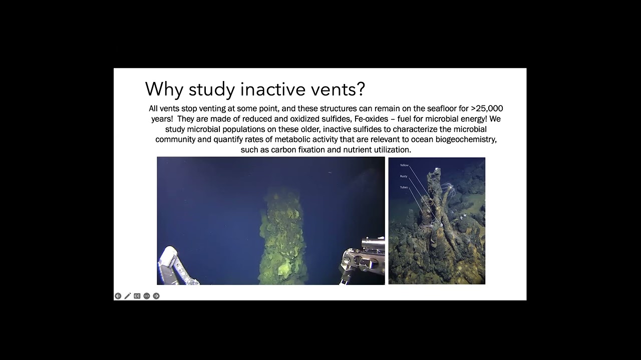 COBRA Webinar Series – Ecology and ecosystem services of inactive hydrothermal vent deposits