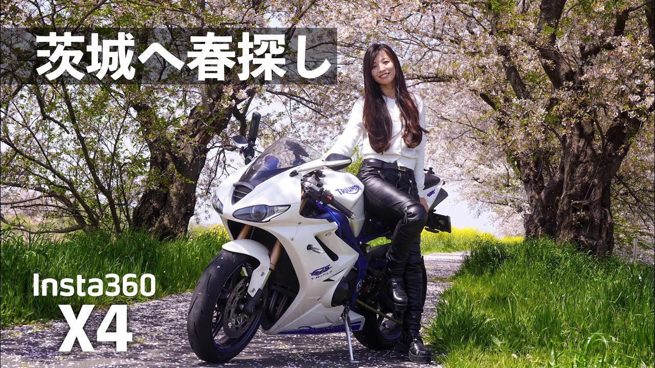 Я катался на daytona675 и поехал в Ибараки, чтобы увидеть цветение сакуры! [Дайтона675]