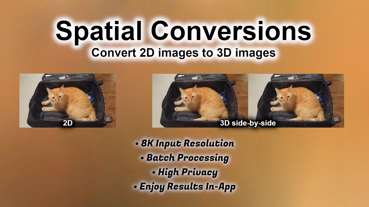 Spatial Conversions (2D to 3D images)