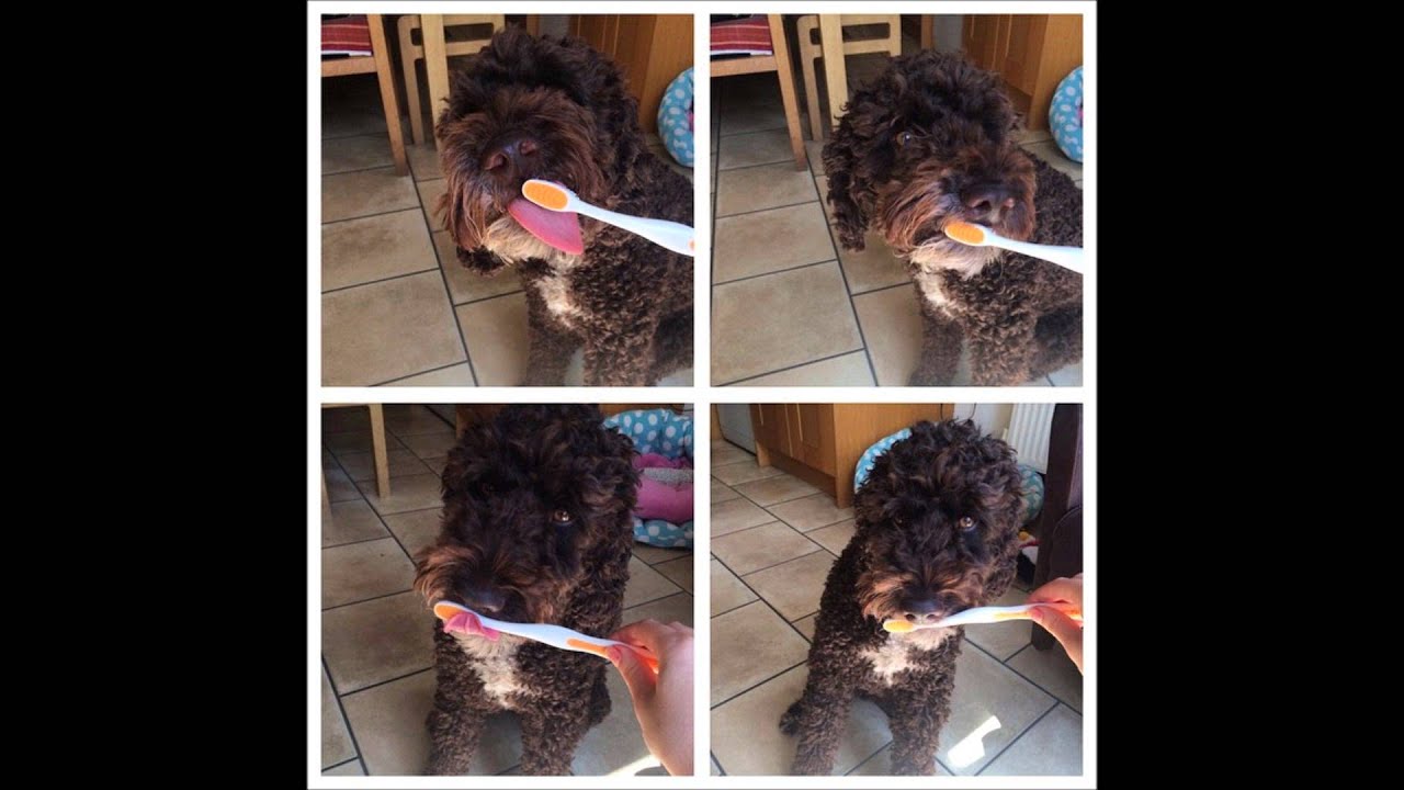 Alicia Keys - Unthinkable (N.Fostell 2-Step Mix) [130 Mix]