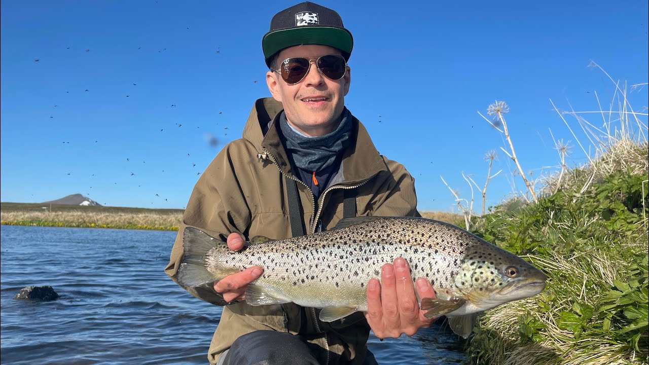 Brown Trout Fishing in ICELAND part 1 Icelandic Elements PRIVATE TOURS