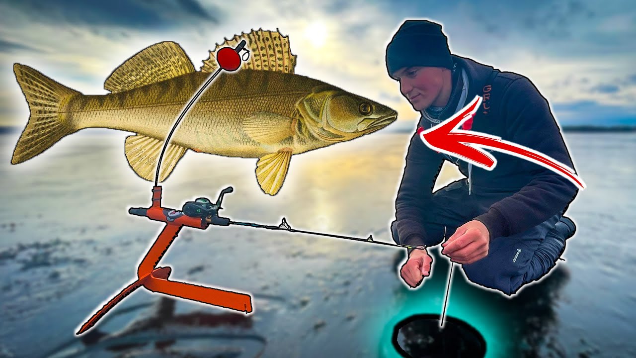 ZANDER FISHING From ICE | Team Galant