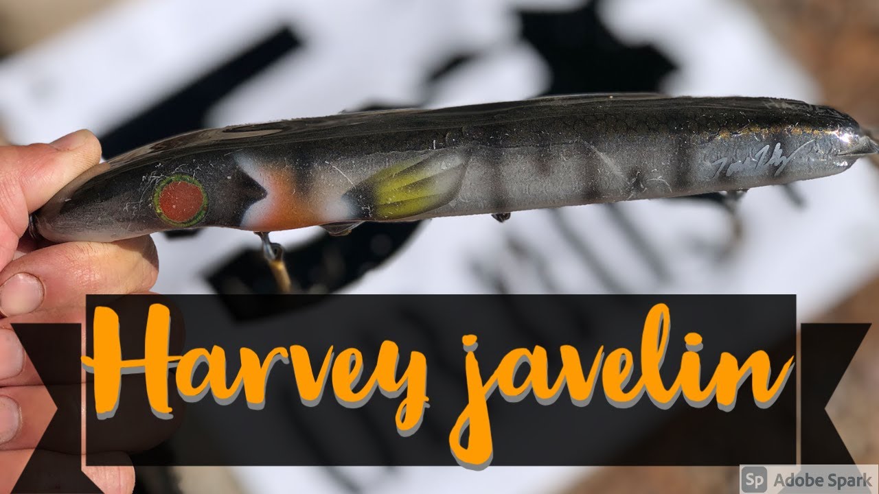 Go underwater with the Harvey Javelin musky dive & rise!  Giant Eagle Lake Musky!