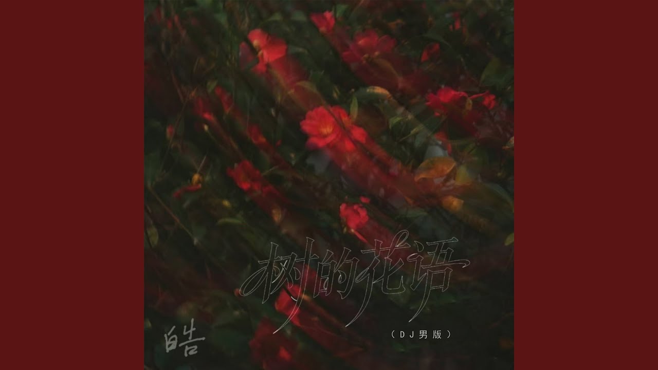 树的花语 (Dj男版)