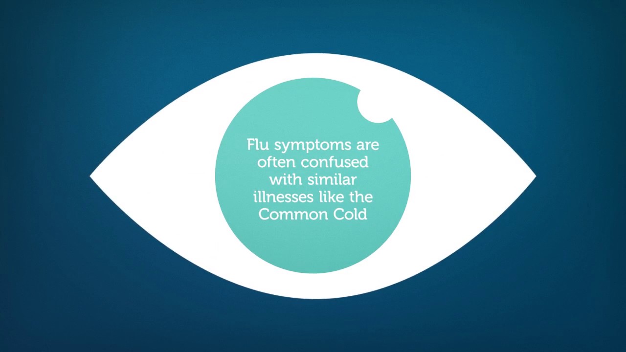 Influenza Fast Facts