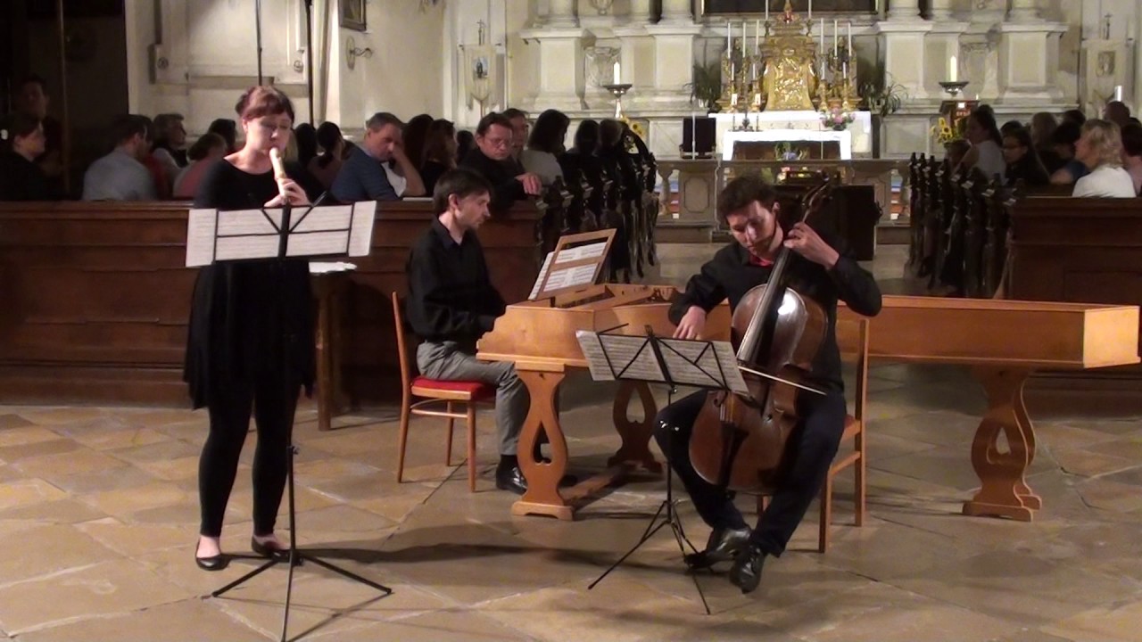 J. Ch. Schickhardt: Sonata a moll | A. Chlubnová - recorder | MLŠSH Valtice 2017