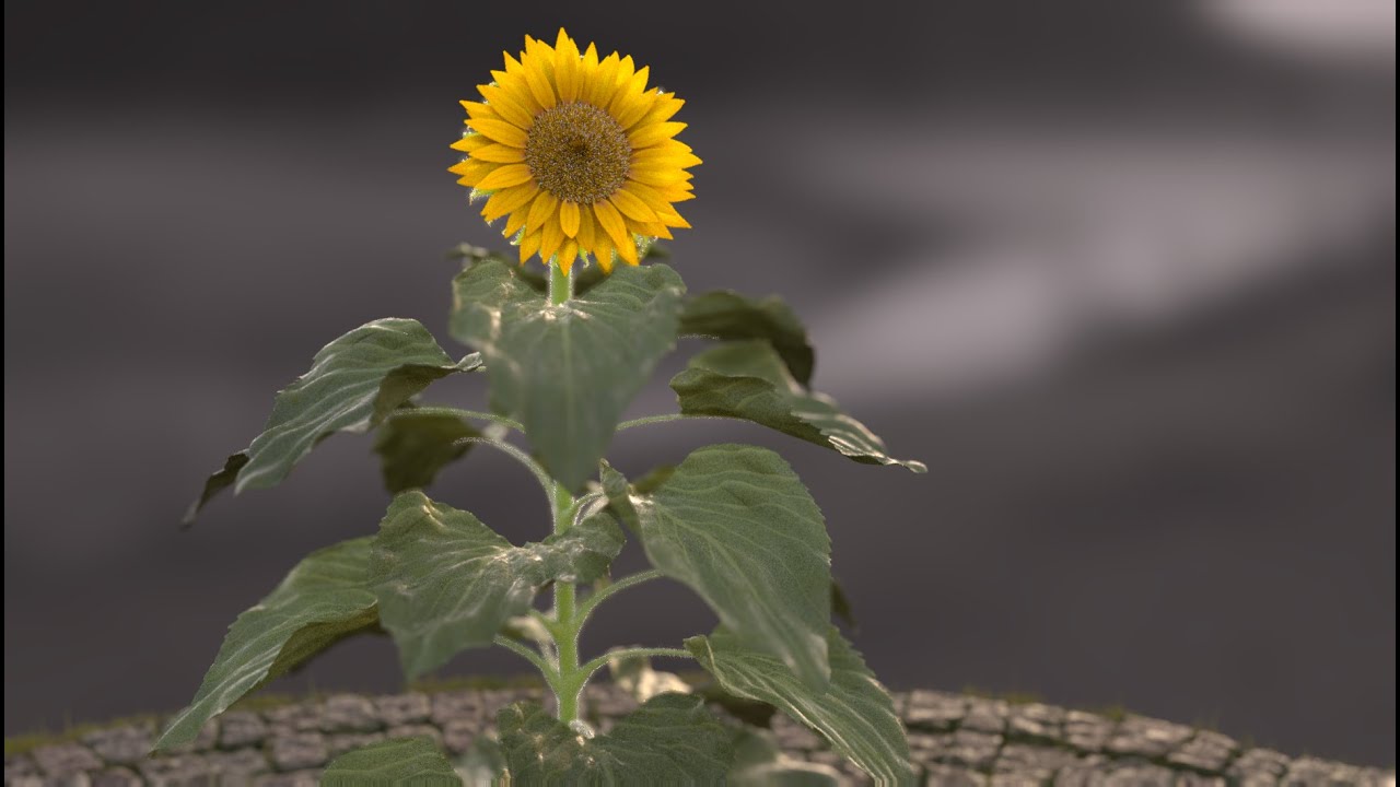 Creative Simulation Technologies showreel 2022