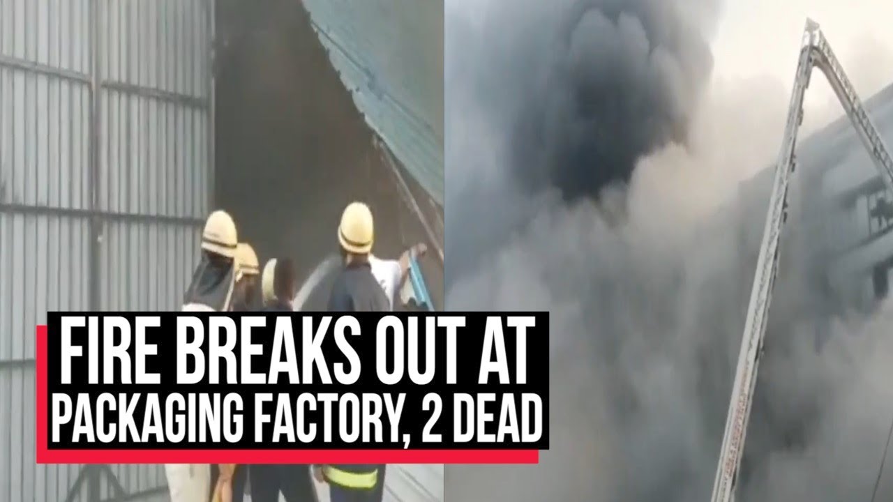 Watch: 2 Killed, 145 Rescued After Massive Fire Breaks Out at Packaging Factory in Surat | Cobrapost