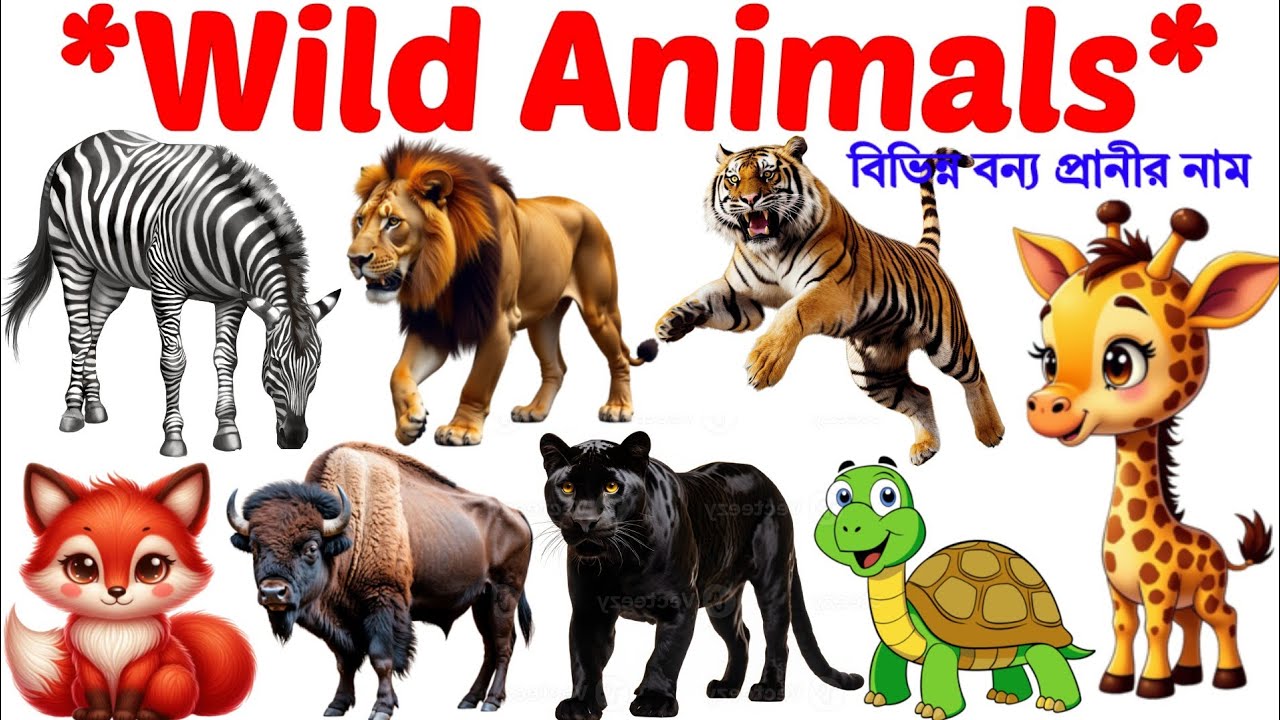 Wild Animals Name | Learn 20 Wild Animals  in English | Kids Learning Vocabulary Video 