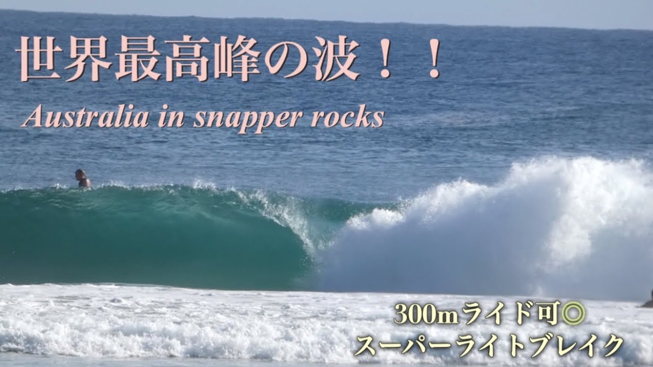 【snapper rocks】これぞ世界屈指の波！スナッパーロックスでサーフィン！！