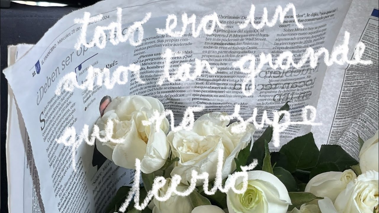 todo era un amor tan grande que no supe leerlo 