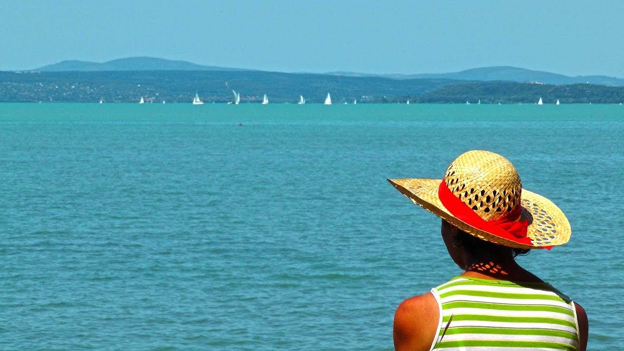 A Balaton déli partján, közvetlen vízparti nyaraló, eladó