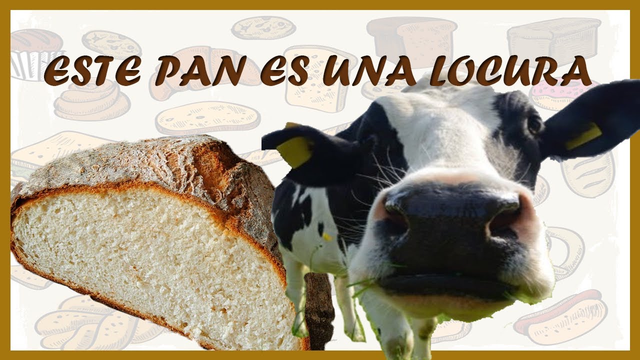 El PAN que no lleva AGUA: Usa SUERO de LECHE y MIEL 🍯 Técnica para Miga de CREMA
