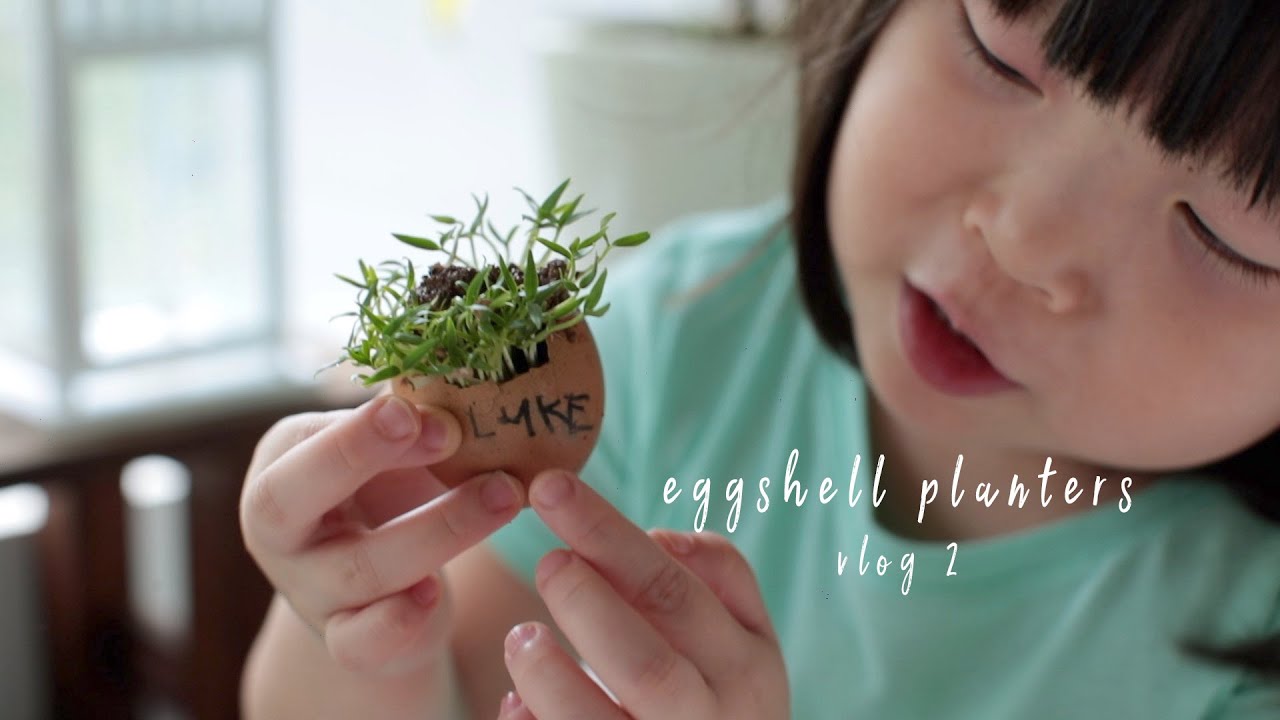 Eggshell planters