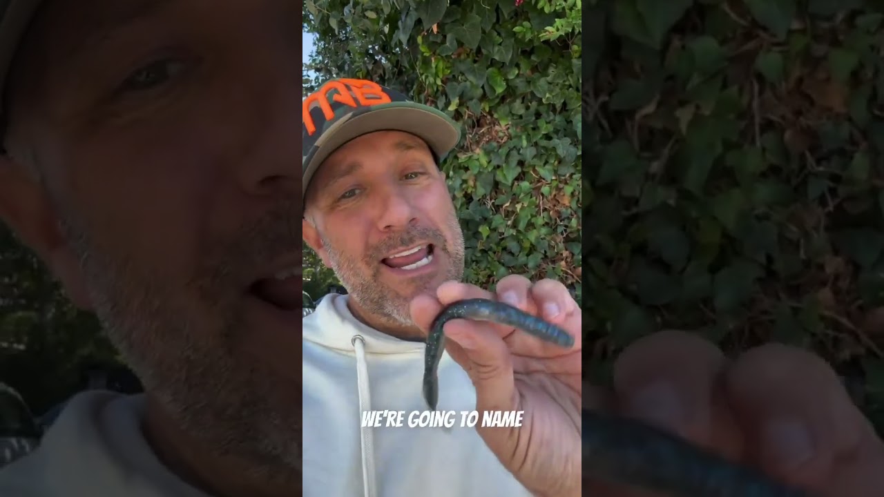 MONSTERBASS Live | It's On!  #bassfishingtips  #bassfishing #bassfishingtips