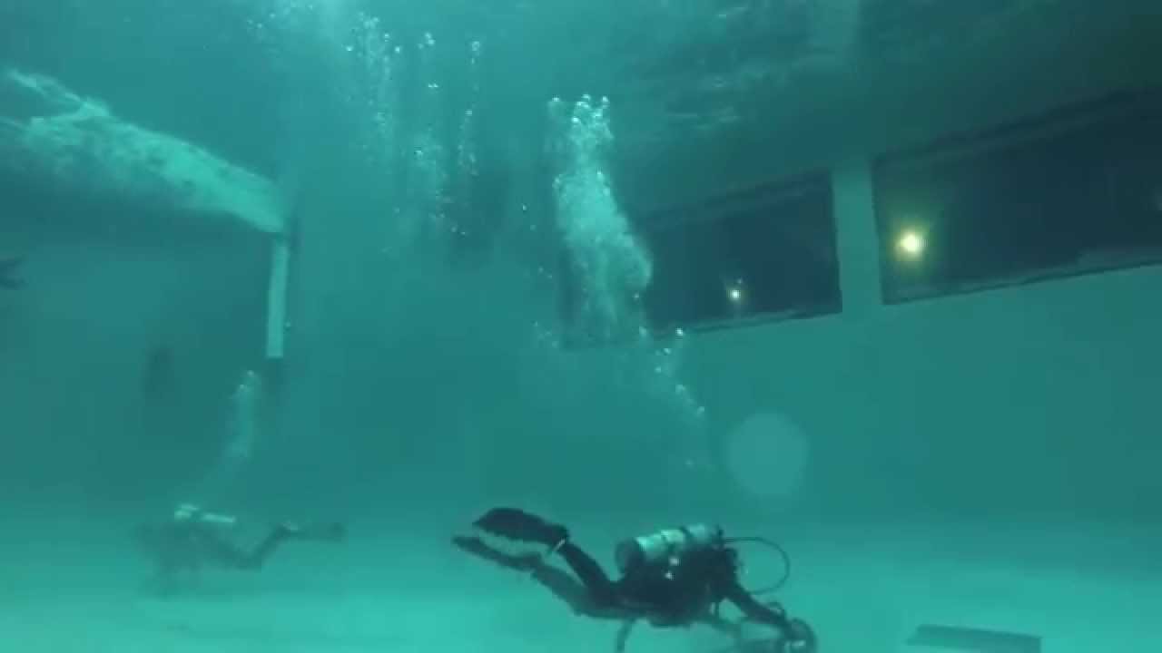Diving with the sea lions in the Mystic Aquarium Foxwoods Marine Theater!
