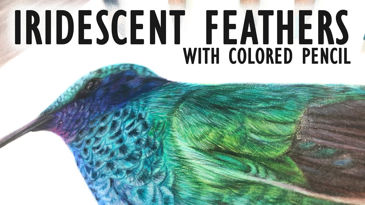 How To Draw IRIDESCENT FEATHERS with Colored Pencil