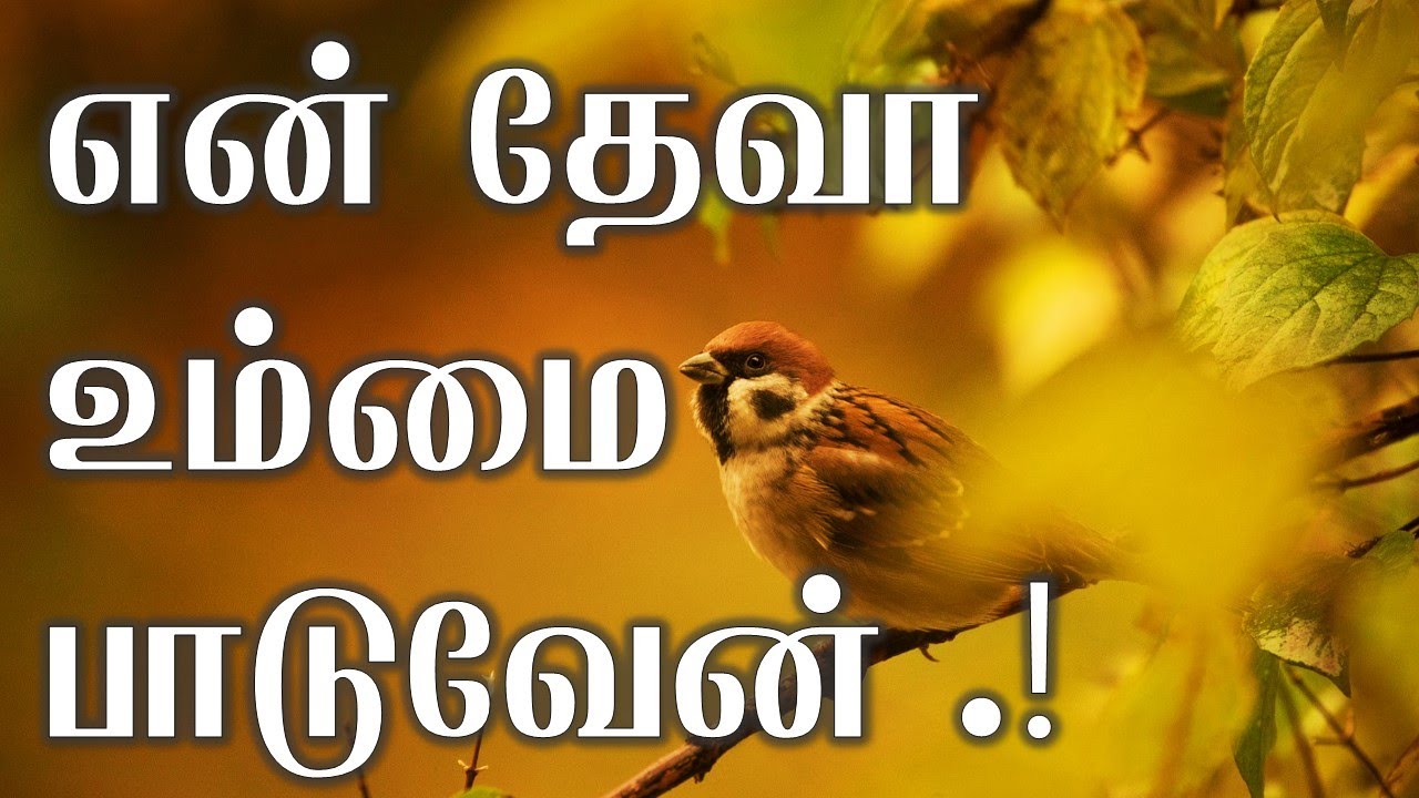 என் தேவா உம்மை பாடுவேன்
