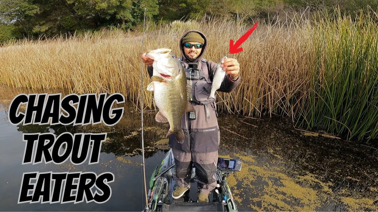 The Swimbait Grind FINALLY Paid Off!