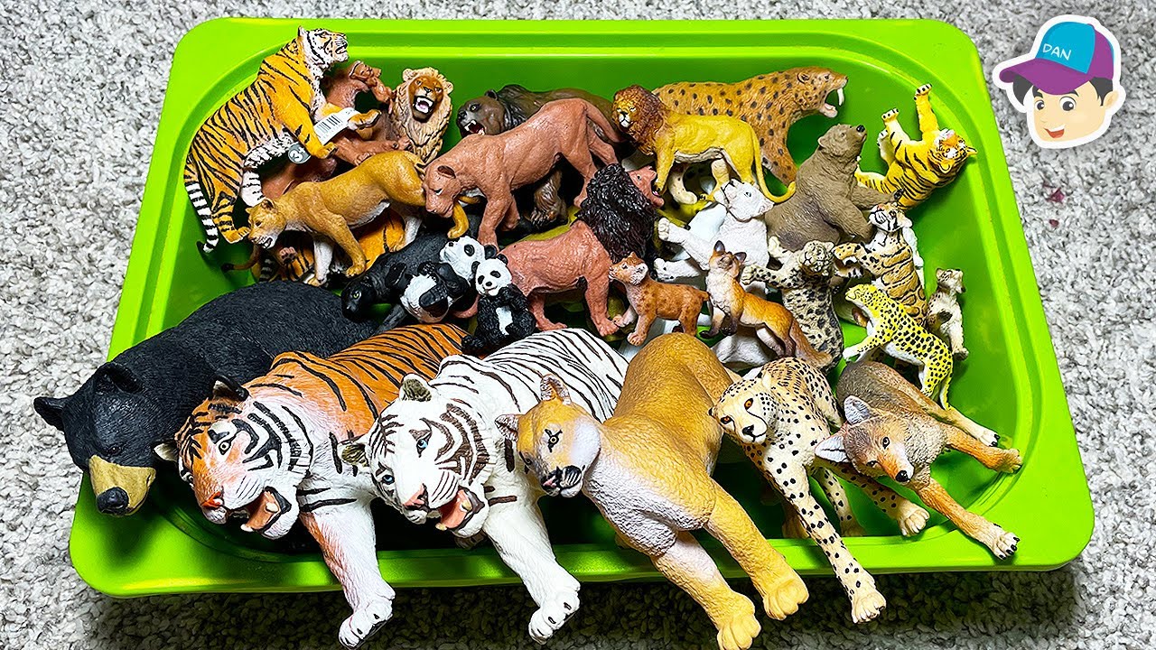 Big Cats - Zoo Animals - Lion Jaguar Polar Bear Black Bear Panther Fox 13+