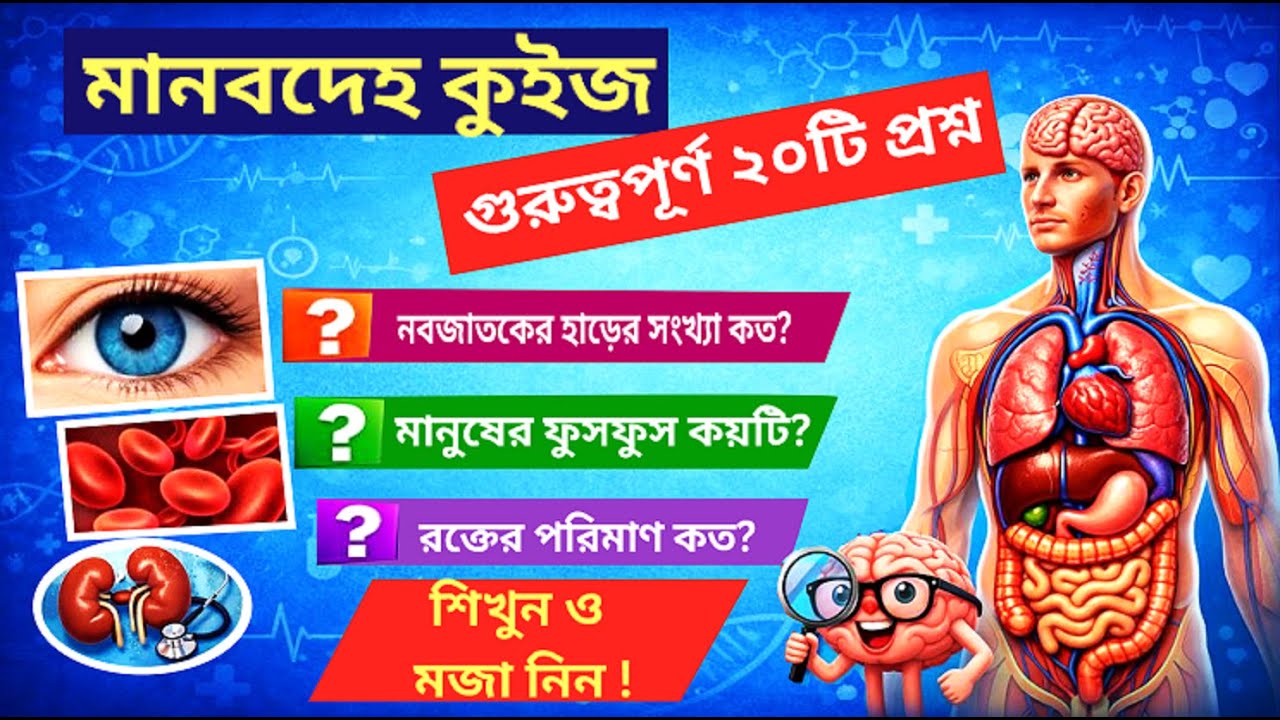 মানবদেহ সম্পর্কিত গুরুত্বপূর্ণ ২০টি সাধারণ জ্ঞান প্রশ্ন (MCQ)
